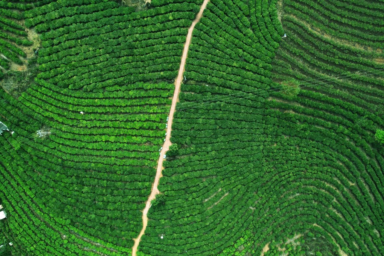 1744801328409046.jpg 1.jpg