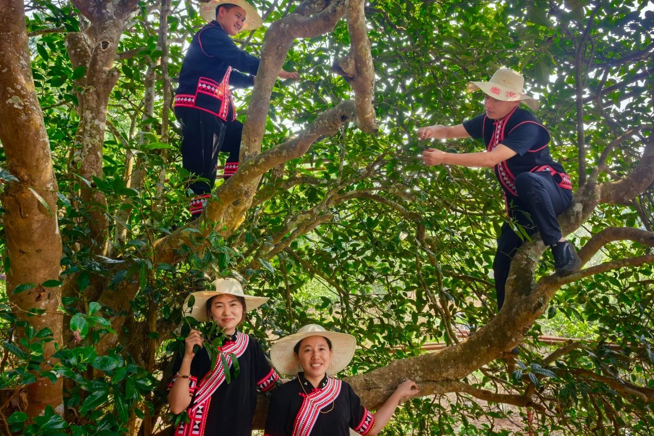 1744801333625948.jpg 2.jpg