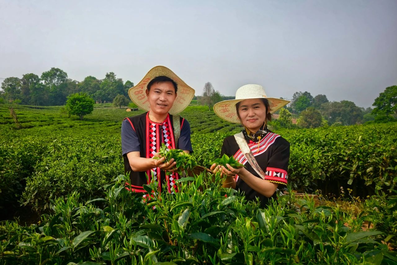 1744801339208185.jpg 3.jpg