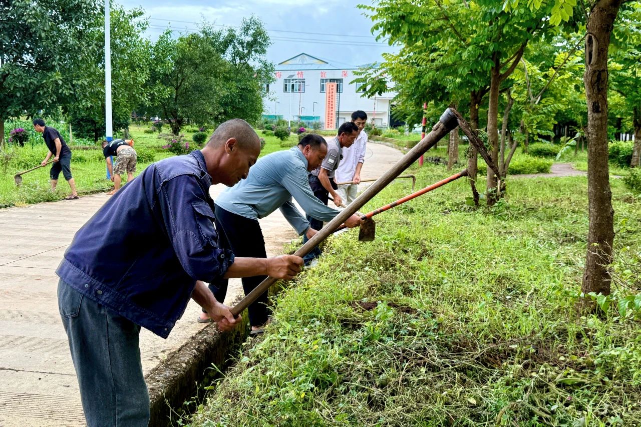 1753621615266211.jpg 1.jpg