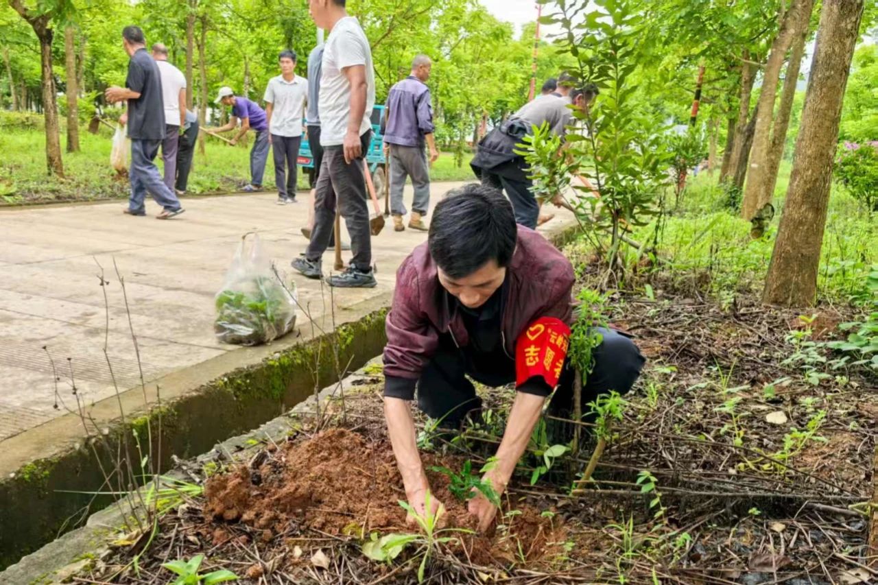 1753621620955367.jpg 2.jpg