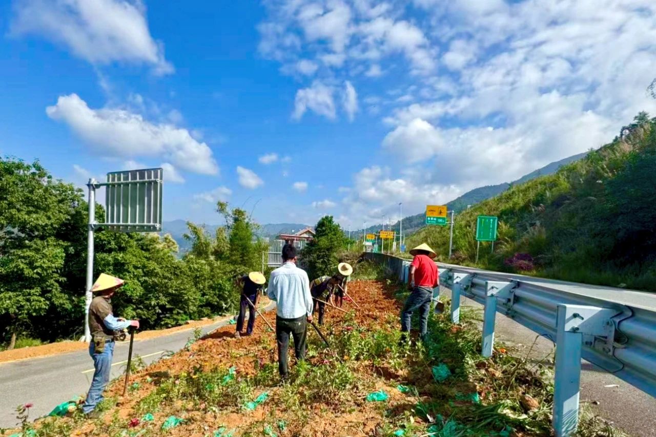 1754574534549321.jpg 1.jpg