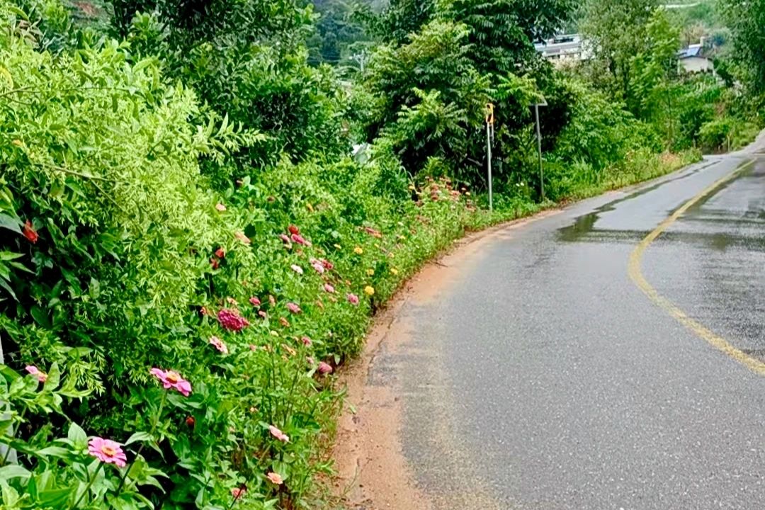 1754574555907228.jpg 4.jpg