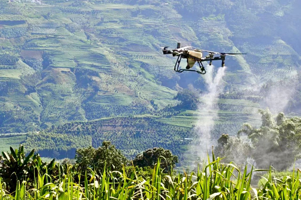 1755874177465421.jpg 1.jpg