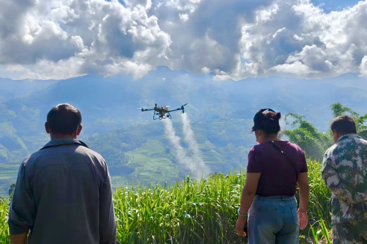 1755874185616612.jpg 2.jpg