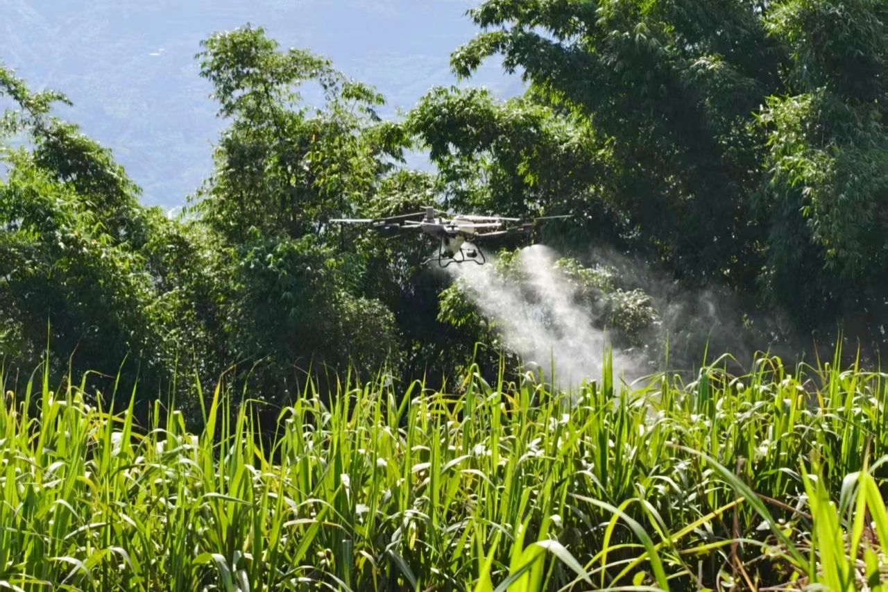 1755874191157661.jpg 3.jpg