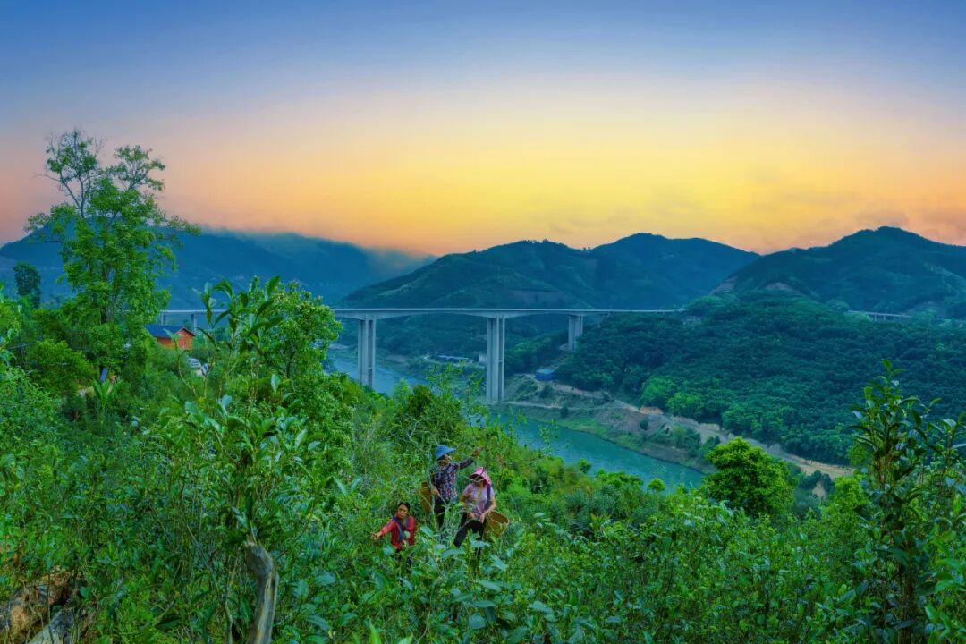 1759584479426636.jpg 2.jpg