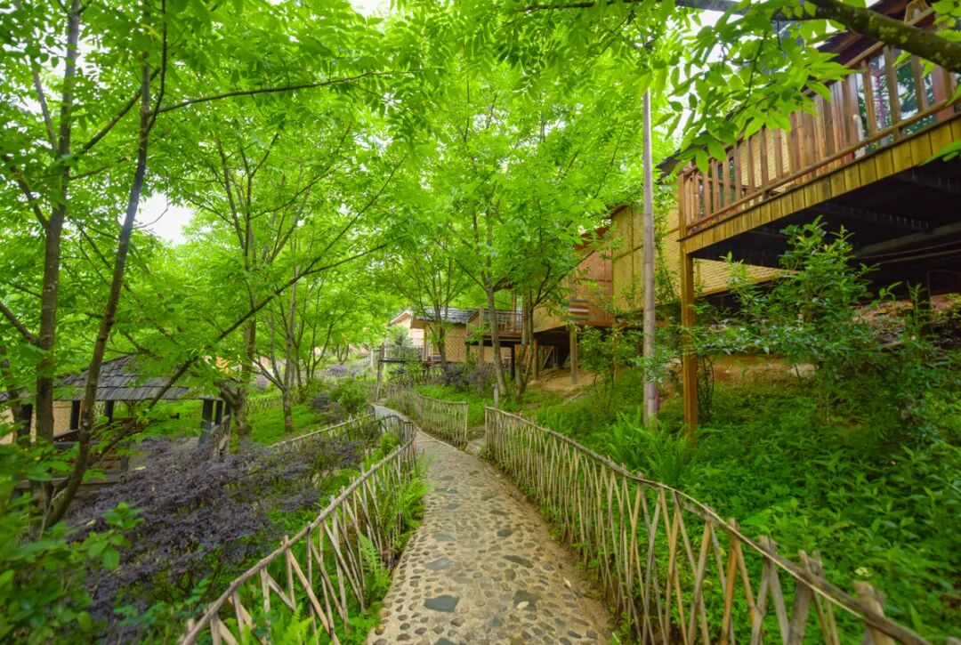 1759584508130157.jpg 6.jpg