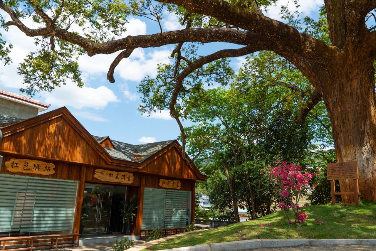 1759742013735851.jpg 1.jpg