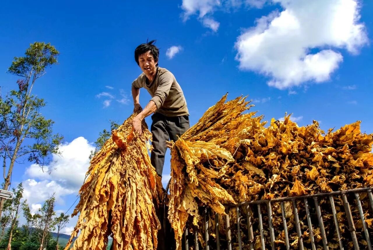 1759742018315605.jpg 2.jpg