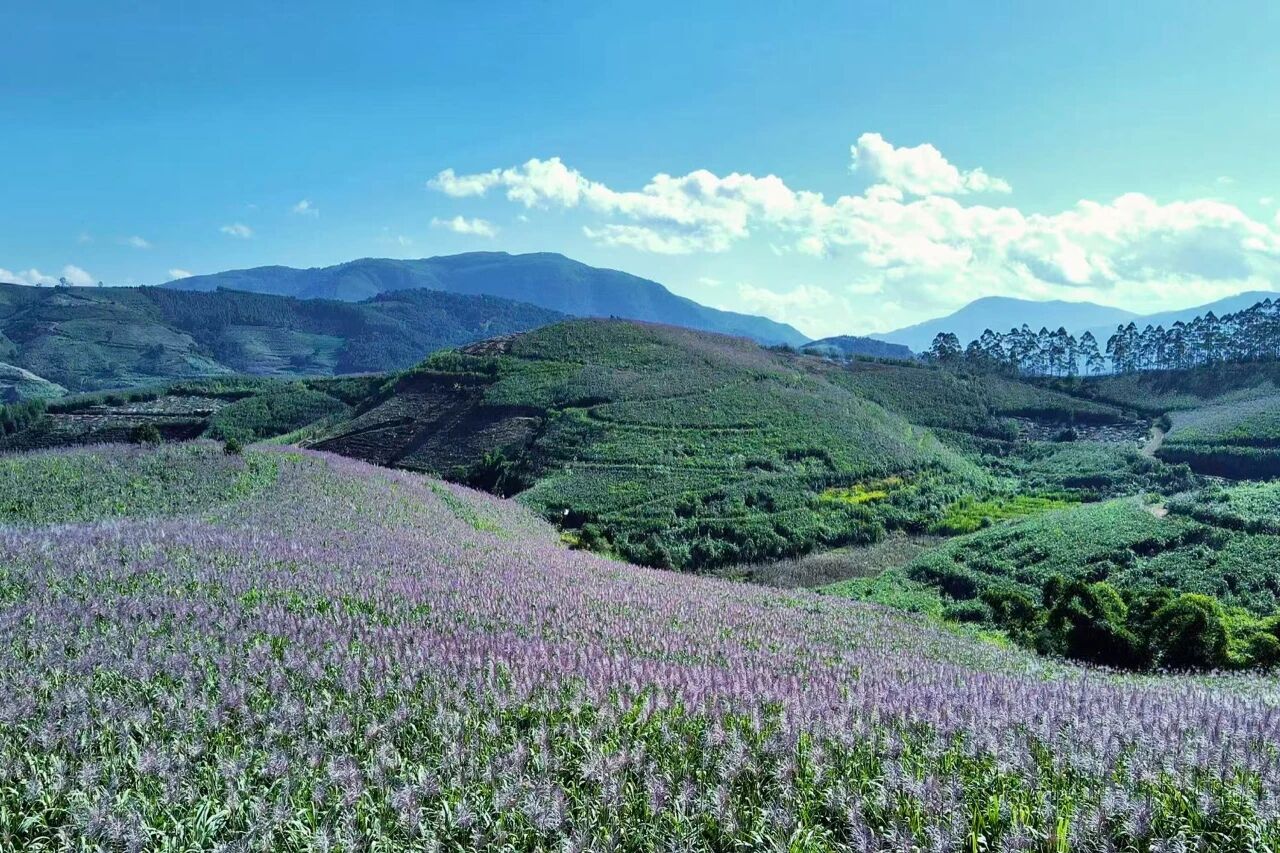 1759742032797289.jpg 5.jpg