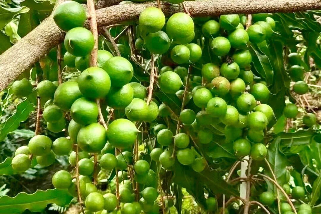 1759742037780278.jpg 6.jpg