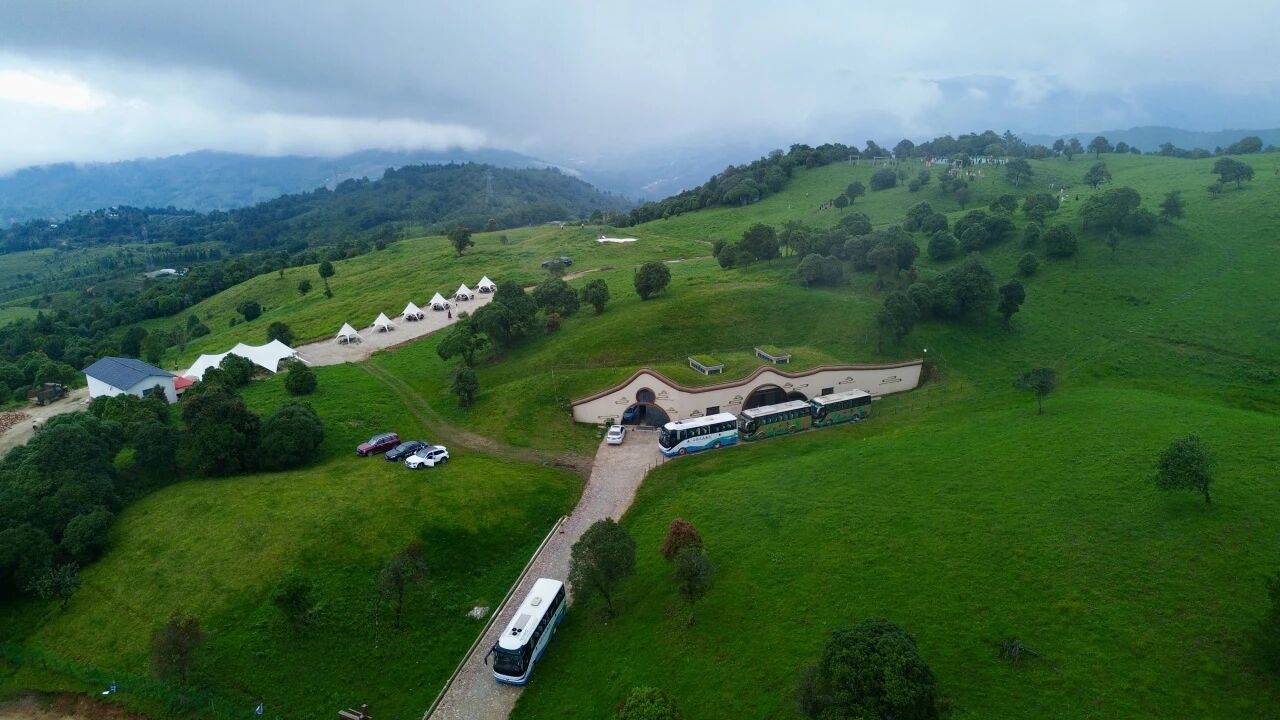 1760104949259901.jpg 1.jpg