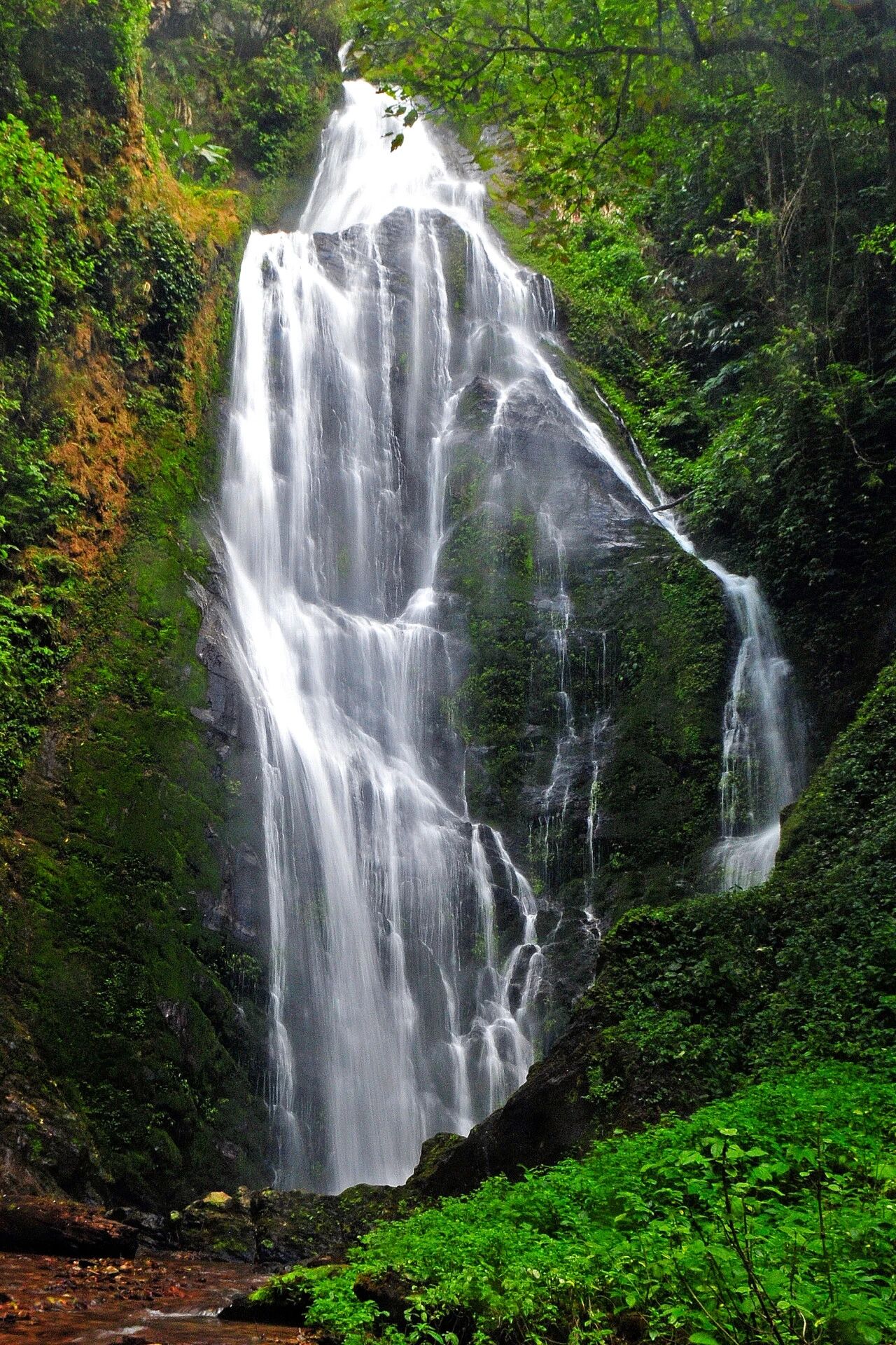 1760104959521569.jpg 3.jpg