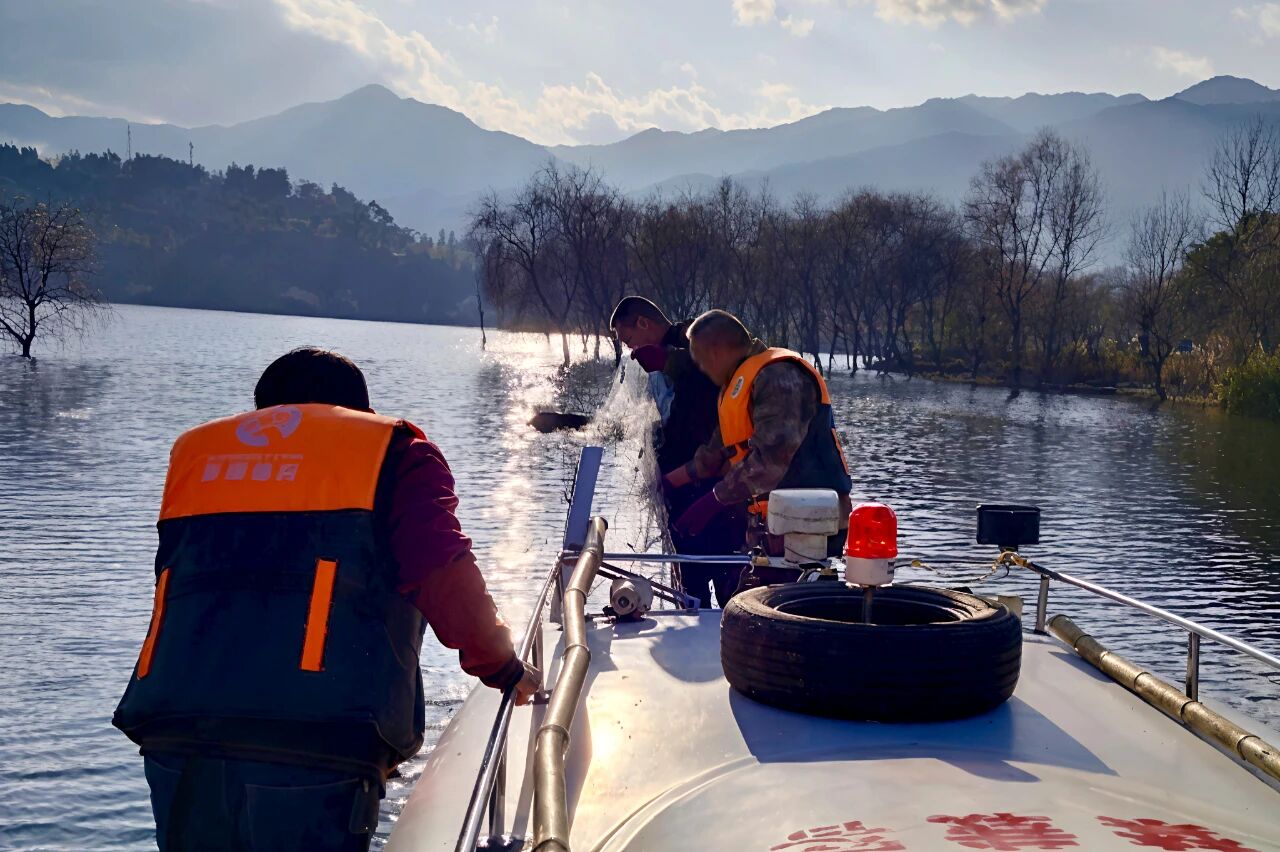 1760194726775462.jpg 2.jpg