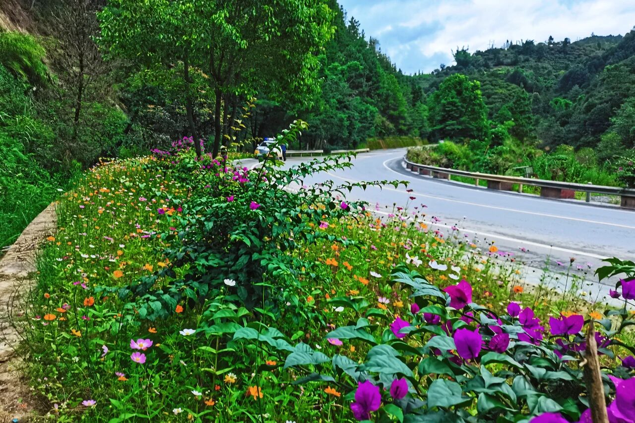 1760787117238390.jpg 5.jpg