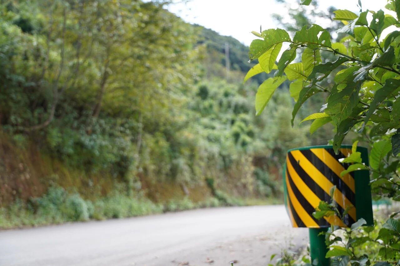 1760787126702484.jpg 7.jpg