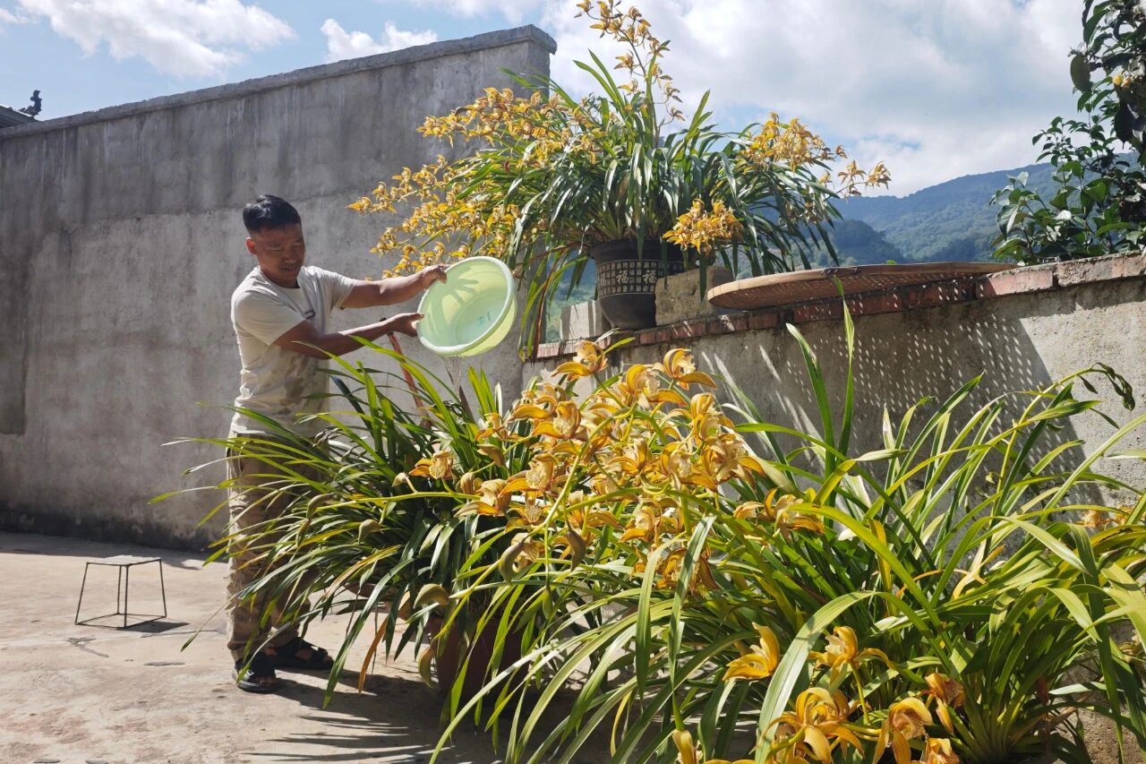 1762169395442898.jpg 3.jpg