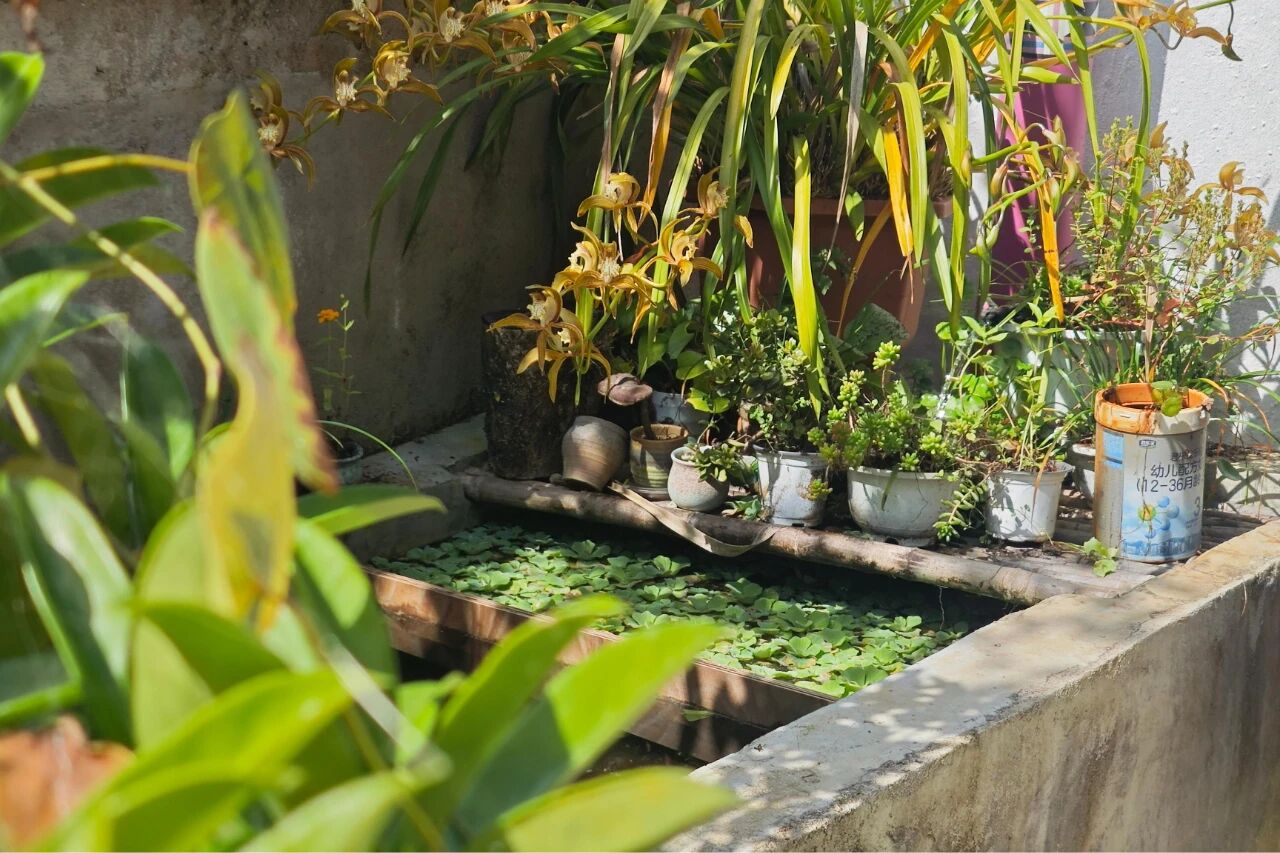 1762169426510916.jpg 8.jpg