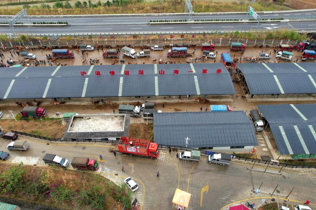 1762345014855060.jpg 1.jpg