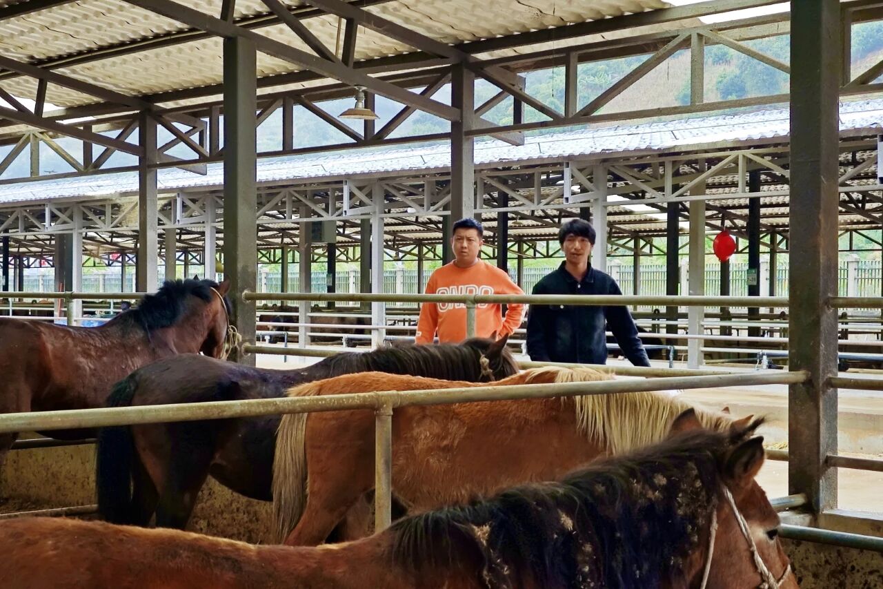 1762345019567633.jpg 2.jpg