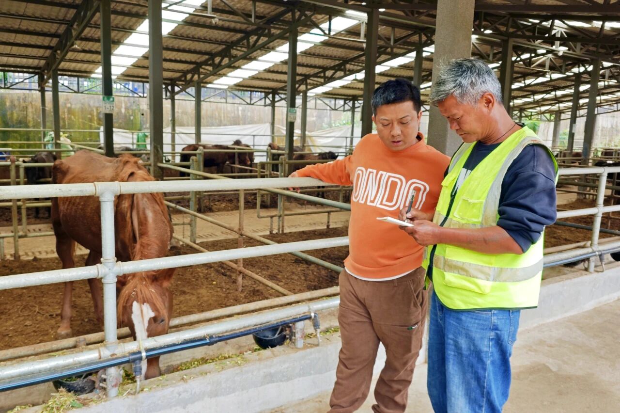 1762345030378664.jpg 4.jpg