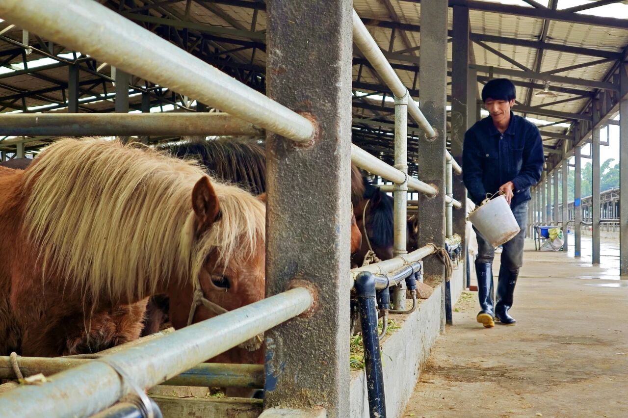 1762345034686640.jpg 5.jpg