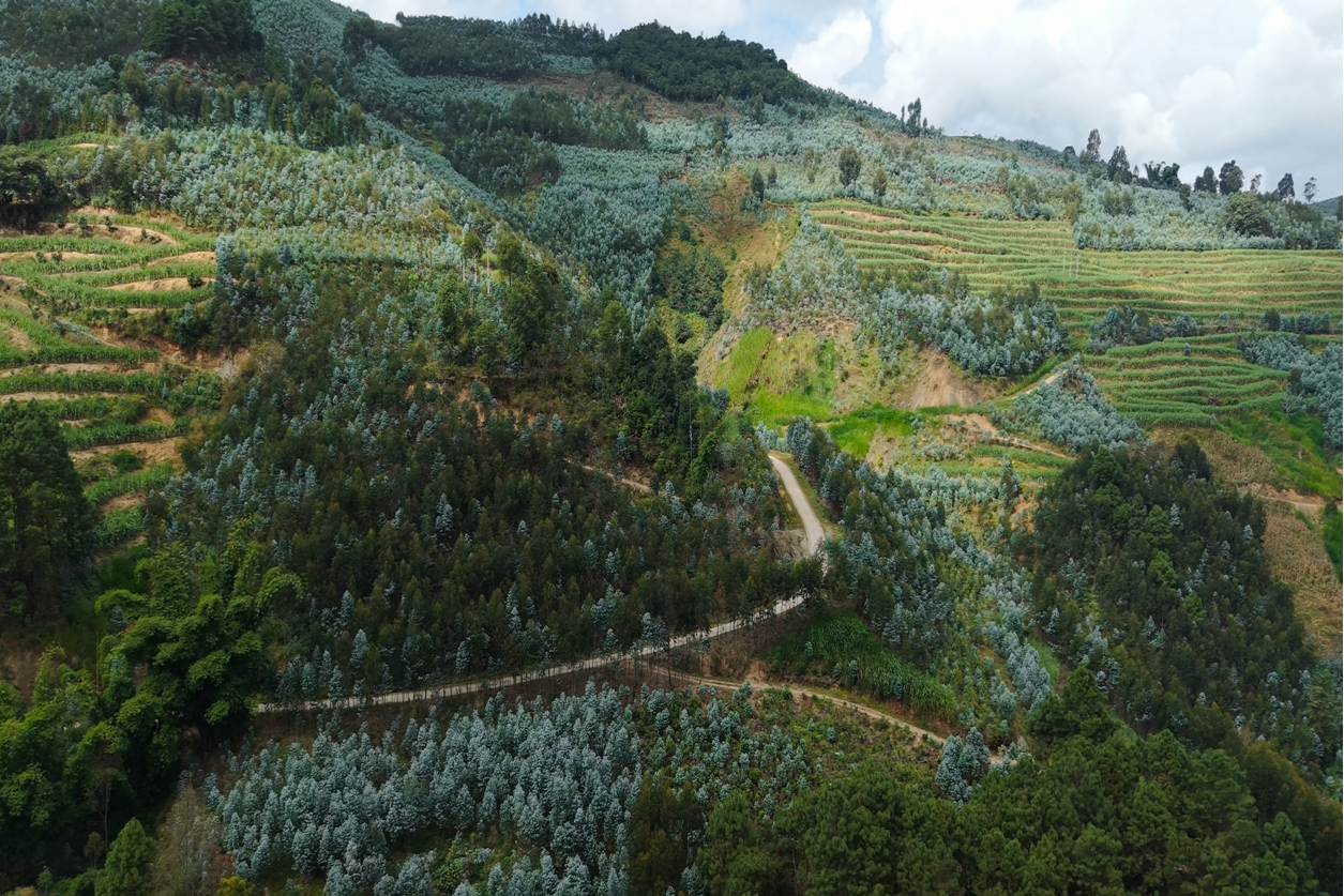 1763041770844422.png 1.png