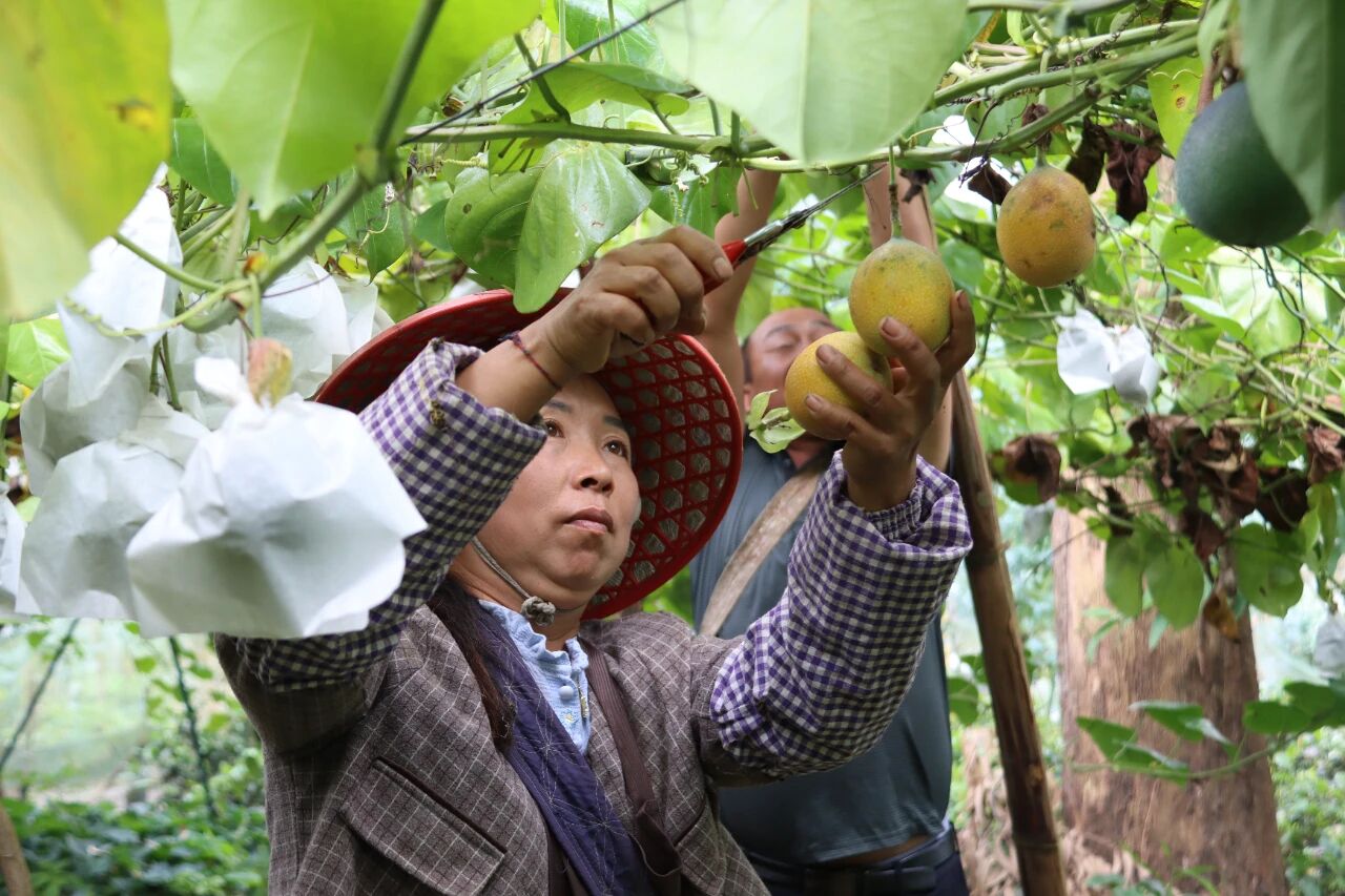 1763041788808557.png 4.png