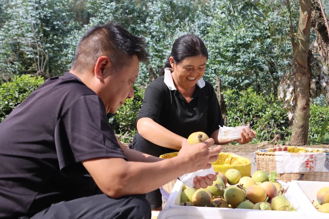 1763041884235502.png 5.png