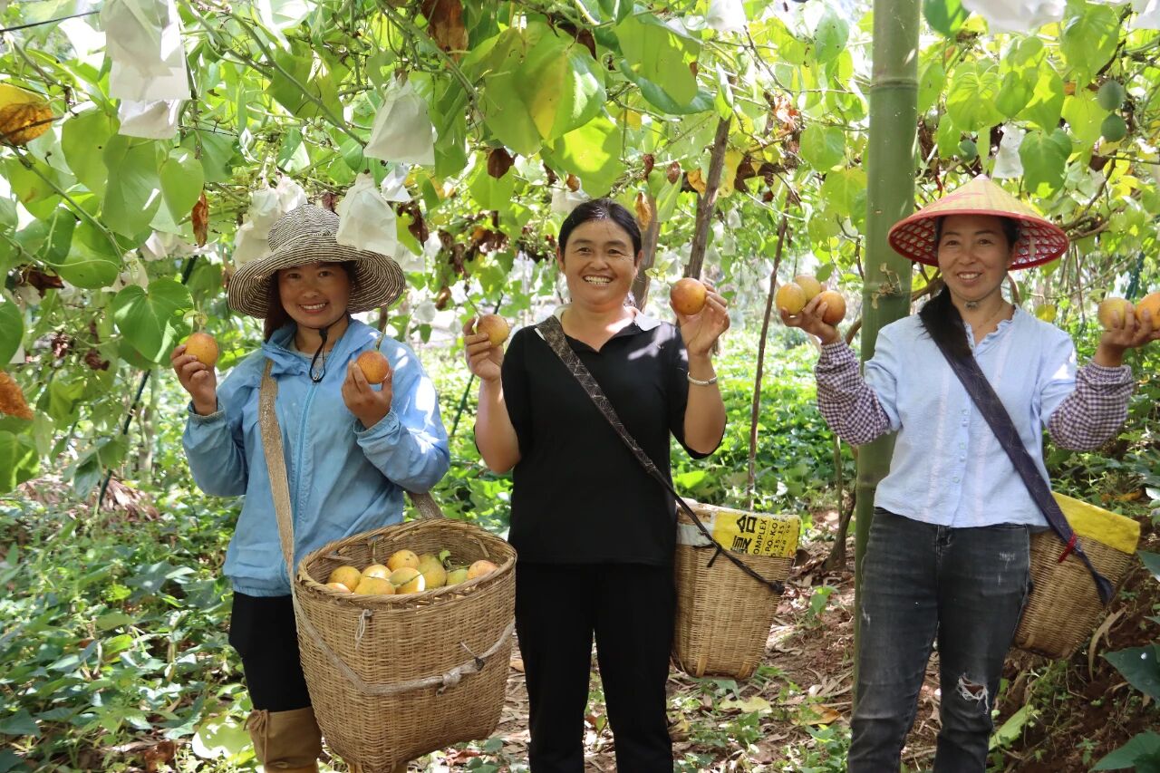 1763041893432139.png 6.png