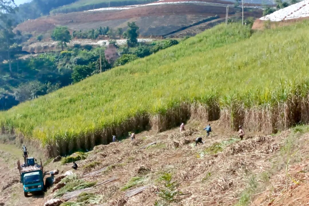 1763293635893215.jpg 2.jpg