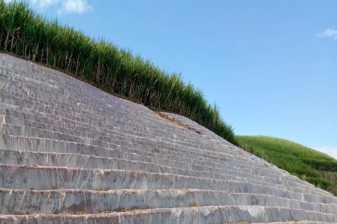 1763293640346664.jpg 3.jpg