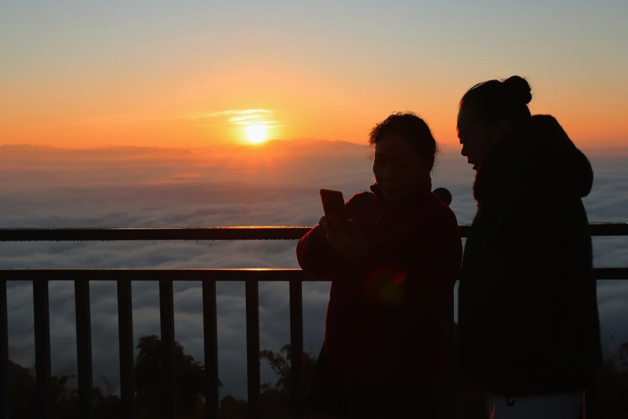 1764939121866659.jpg 2.jpg