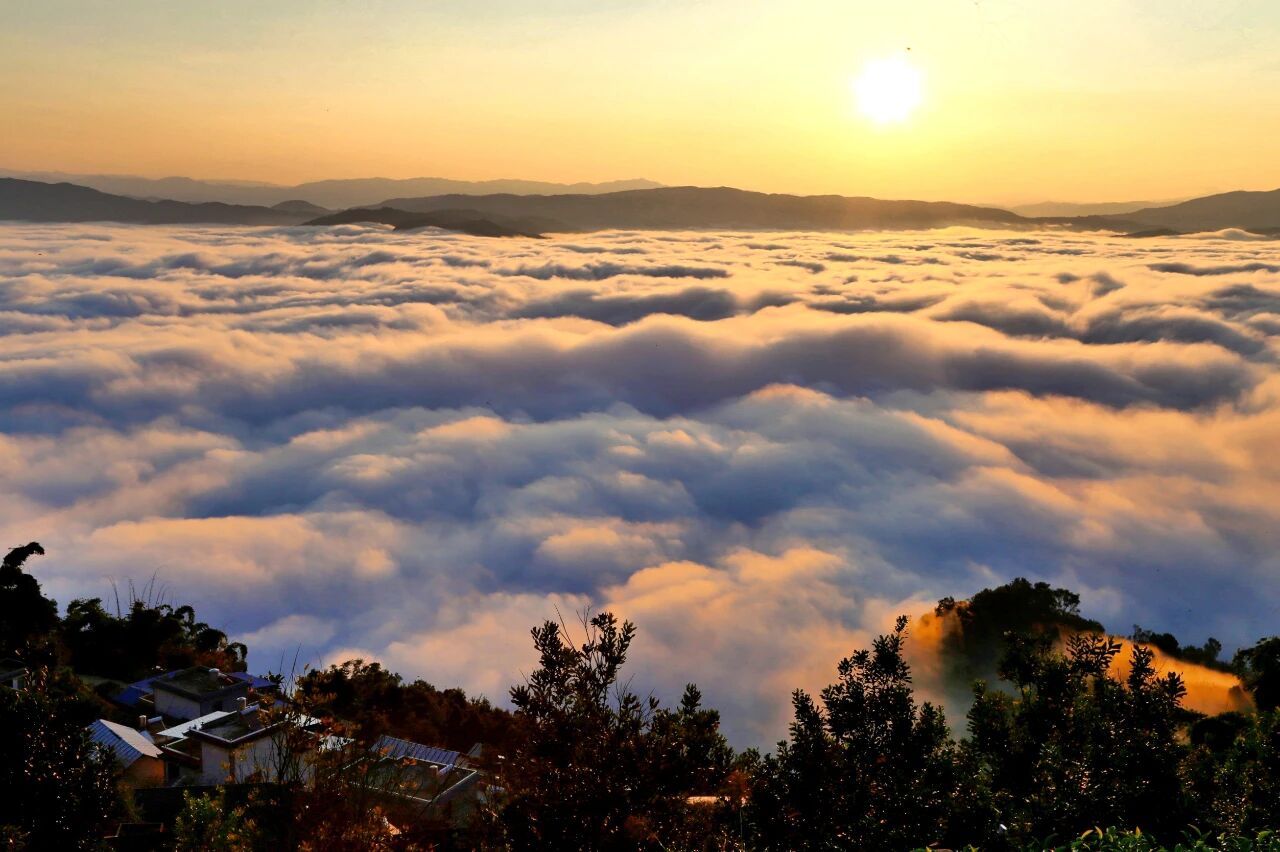 1764939131508427.jpg 4.jpg