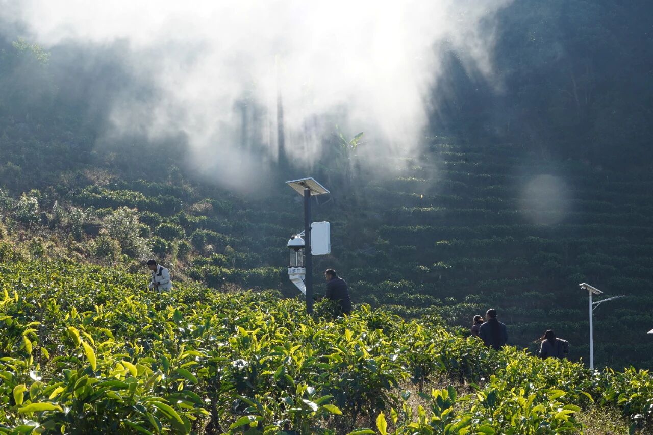 1766303074591973.jpg 1.jpg