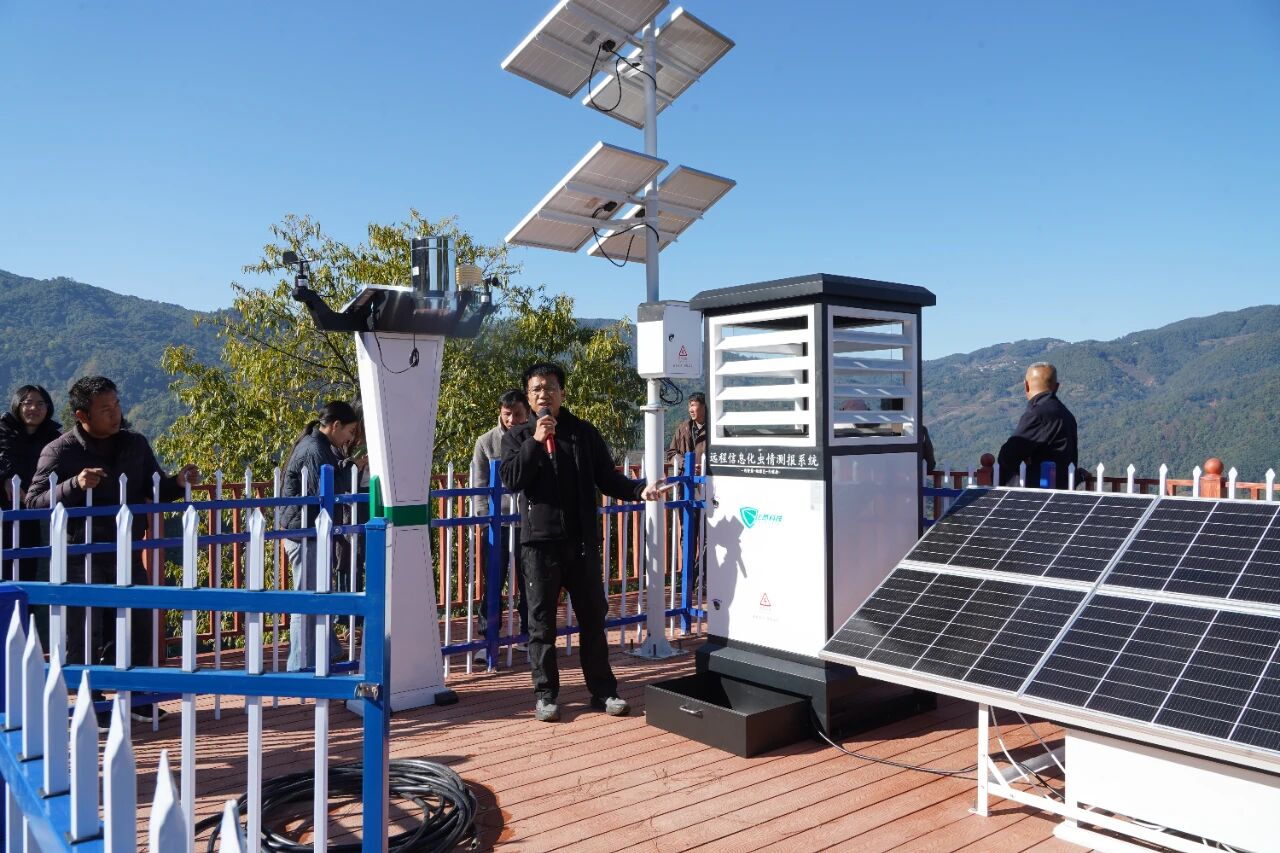 1766303080580962.jpg 2.jpg