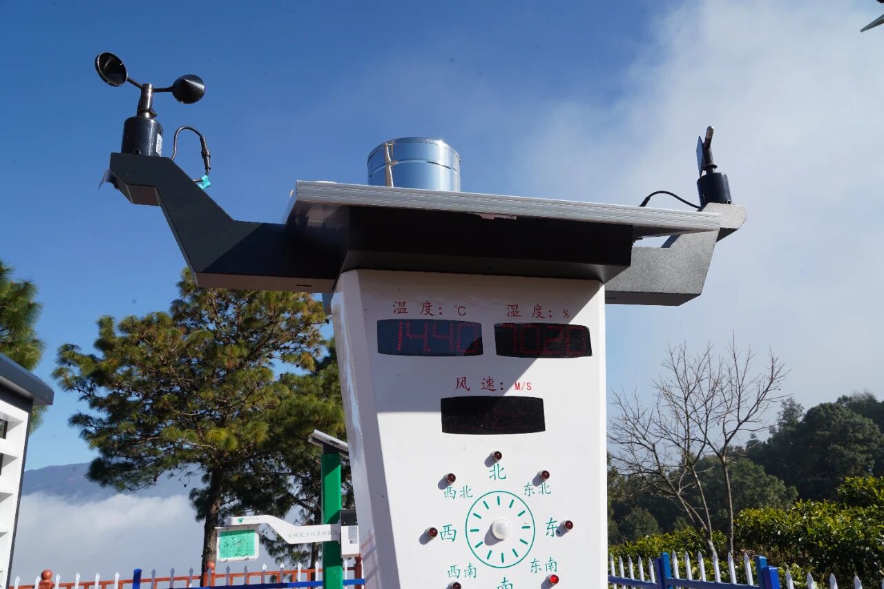 1766303084785890.jpg 3.jpg