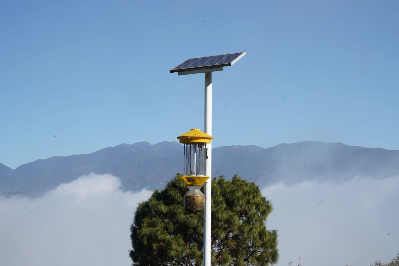 1766303087793041.jpg 4.jpg