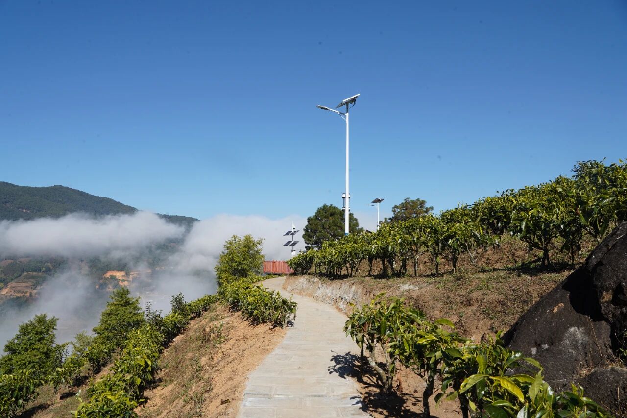 1766303092434140.jpg 5.jpg