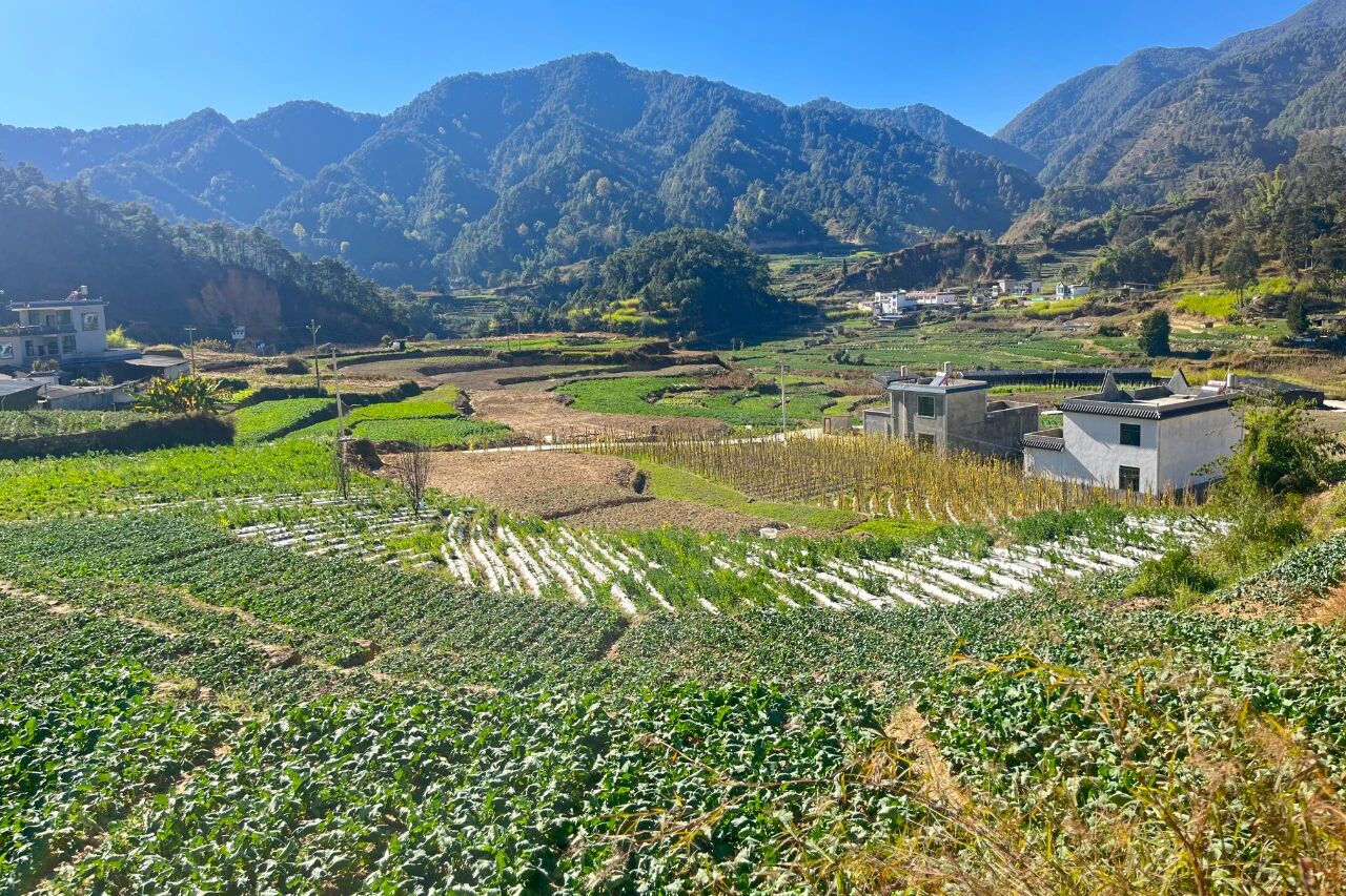 1766392870813441.jpg 1.jpg