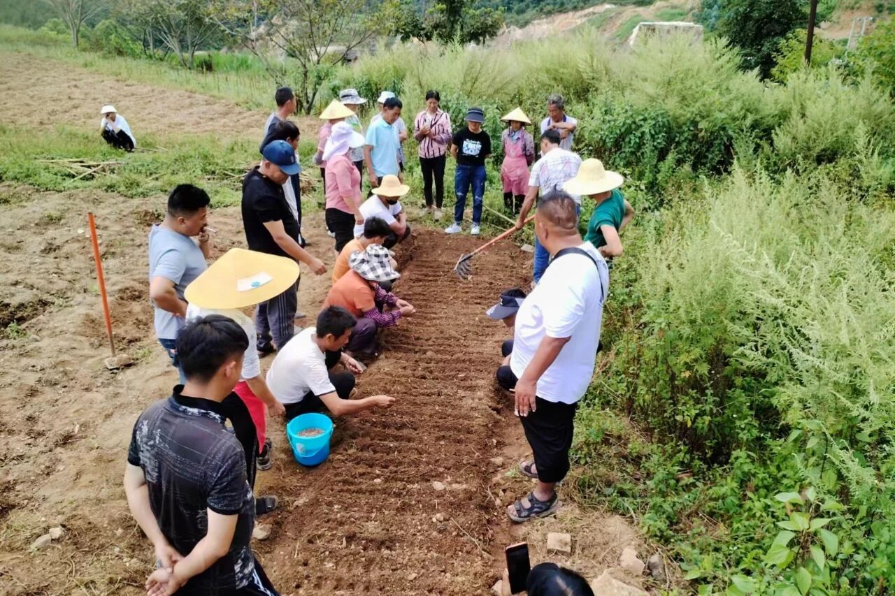 1766392881130100.jpg 2.jpg