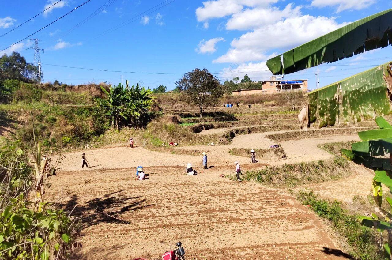 1766392899458841.jpg 4.jpg