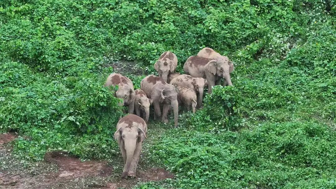 1767340448304519.jpg 3.jpg