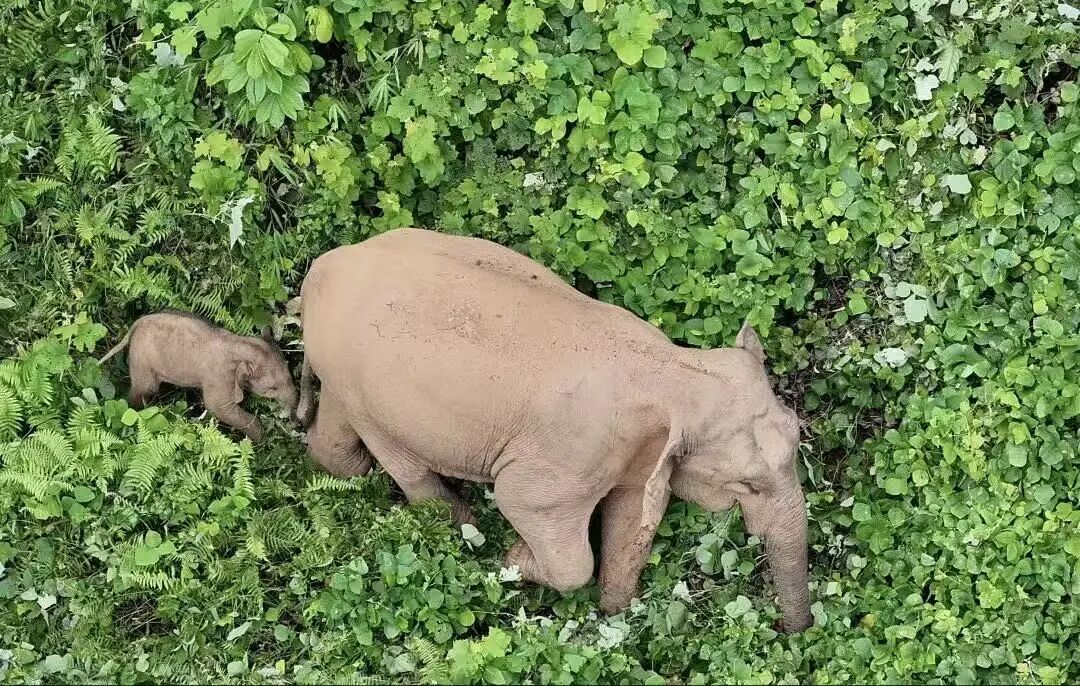 1767340453394025.jpg 4.jpg