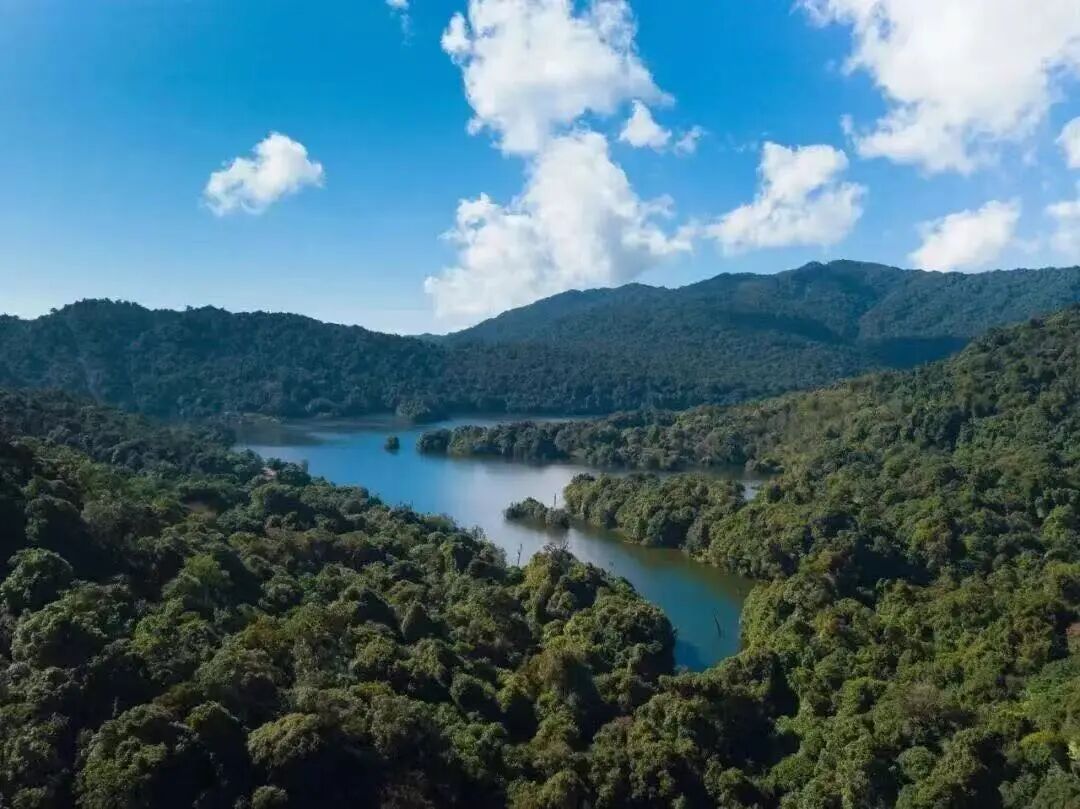 1767340457312849.jpg 5.jpg