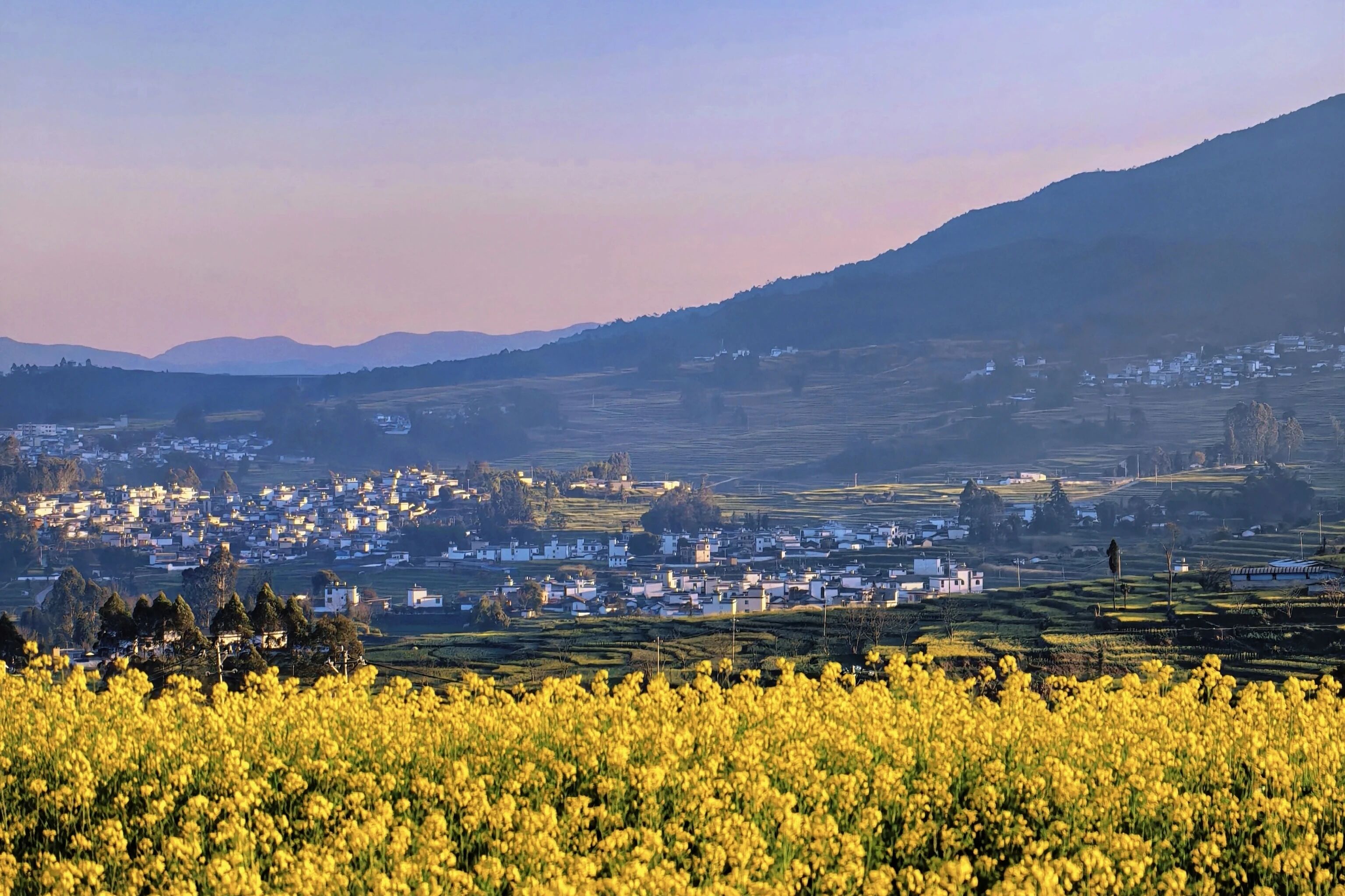 1769674866190292.jpg 1.jpg