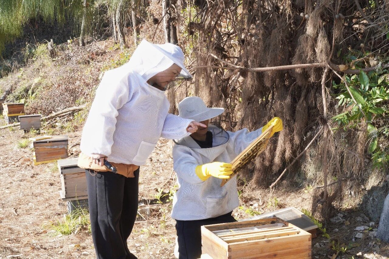 1769674873647154.jpg 2.jpg