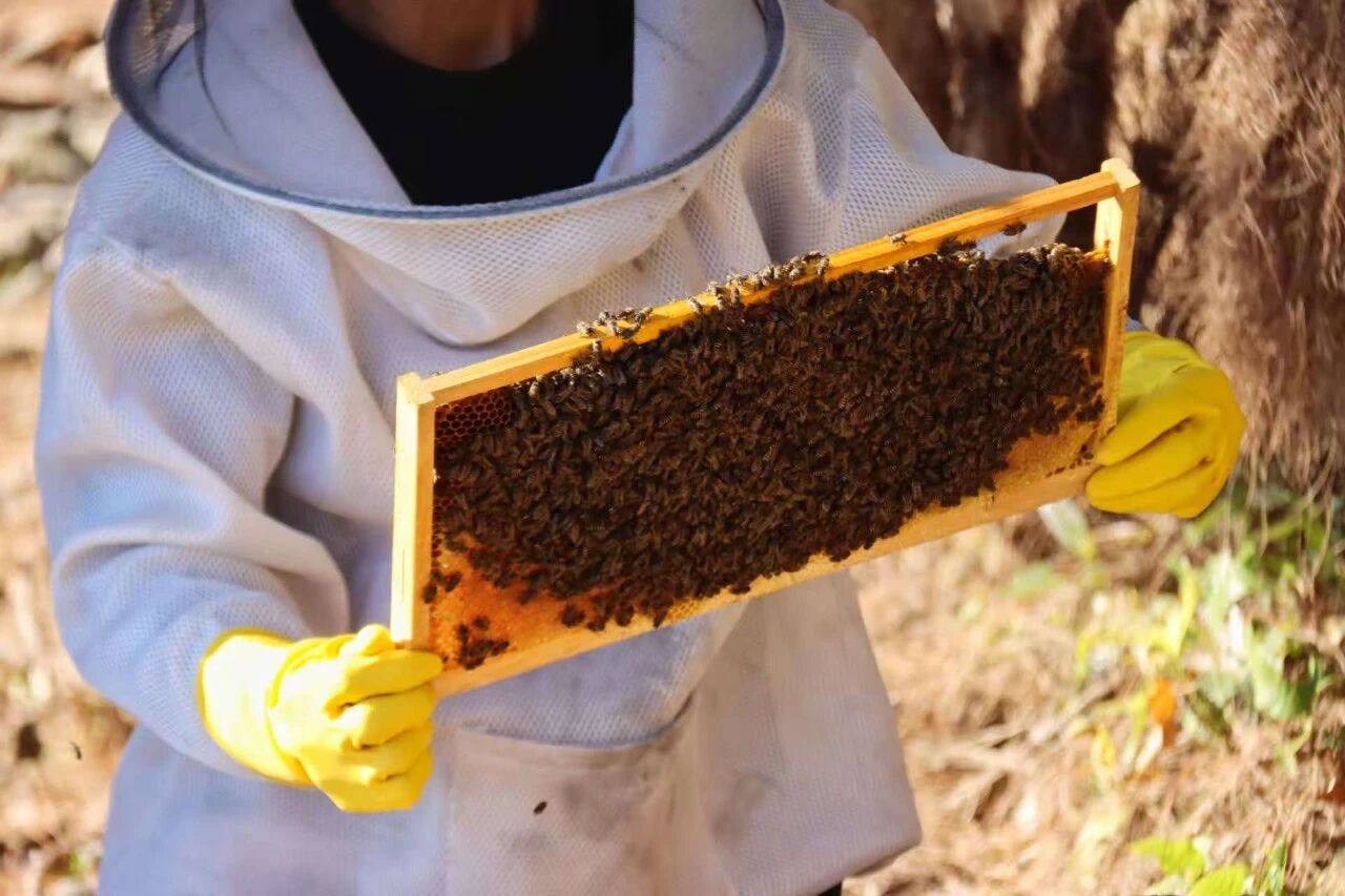 1769674878220387.jpg 3.jpg