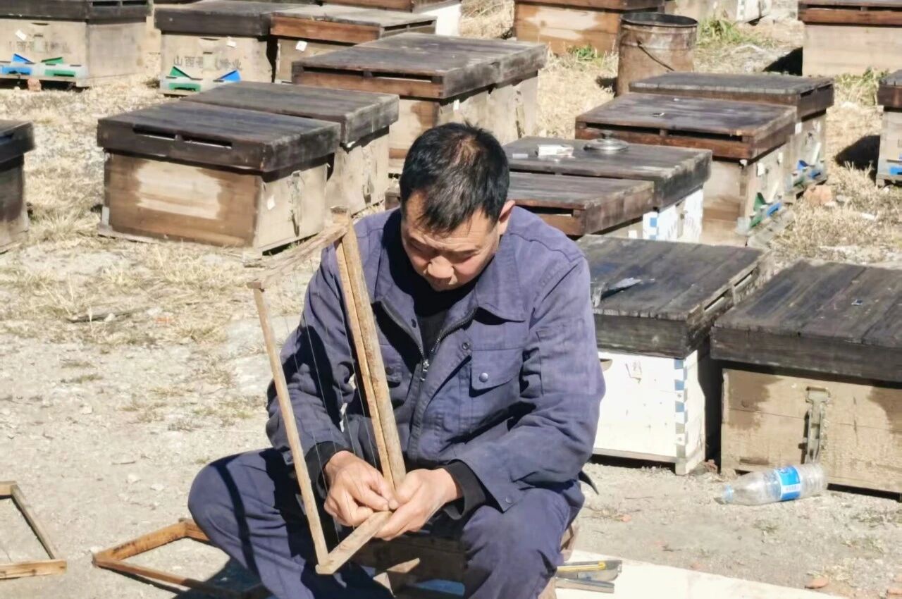 1769674889597616.jpg 4.jpg